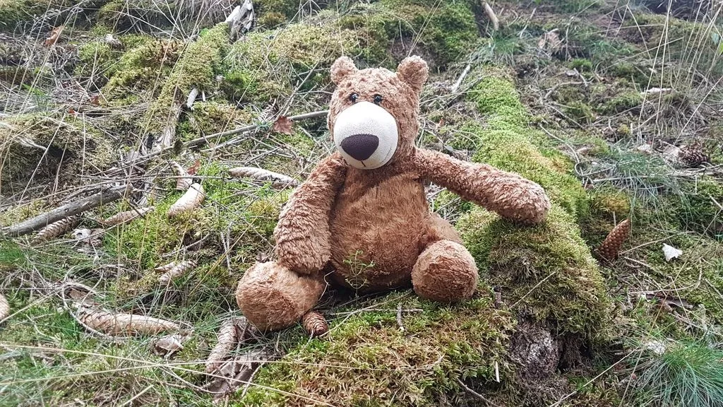 Der kleine Bär sitzt im Wald.