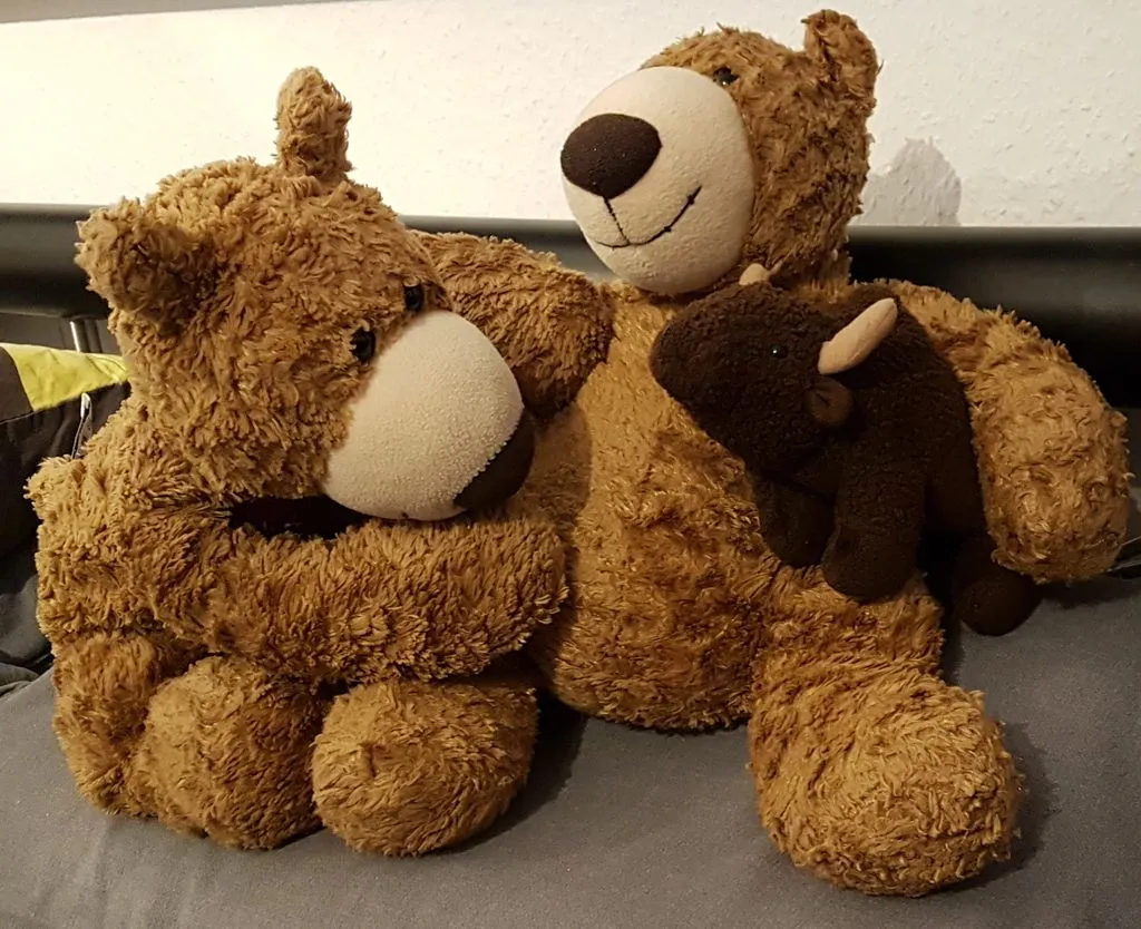 Der kleine Bär mit seinem Bruder