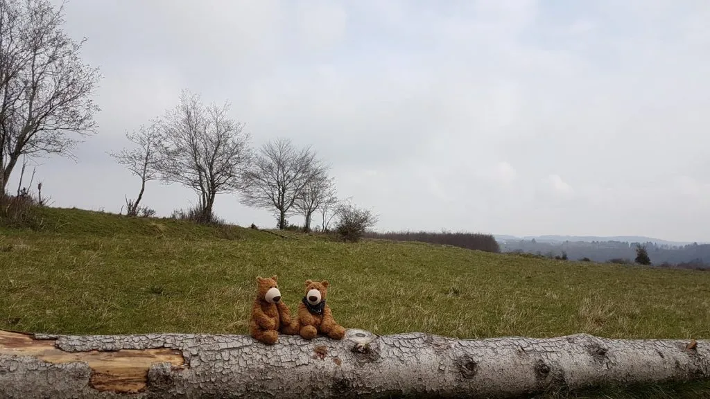 Die beiden Bärenbrüder sitzen auf einem Baumstamm.